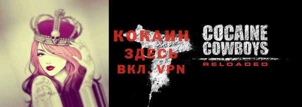 шишки Остров