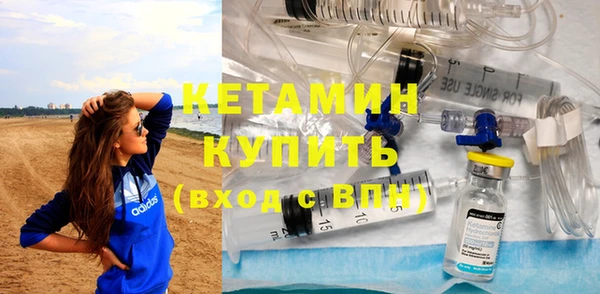 шишки Осинники